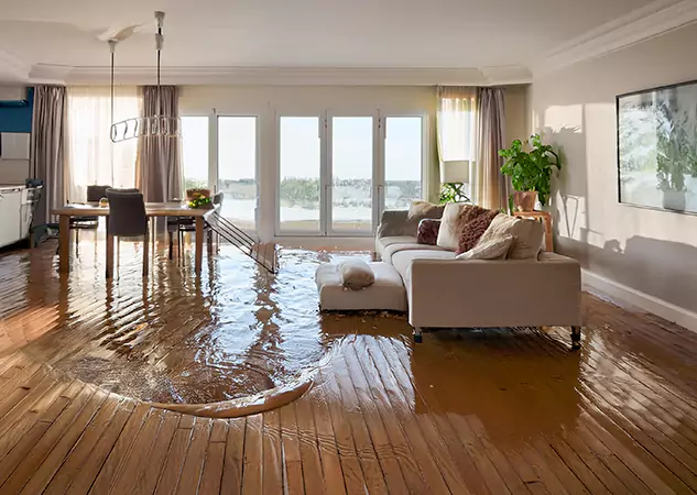 Your Water Removal Specialists in Tallapoosa, GA