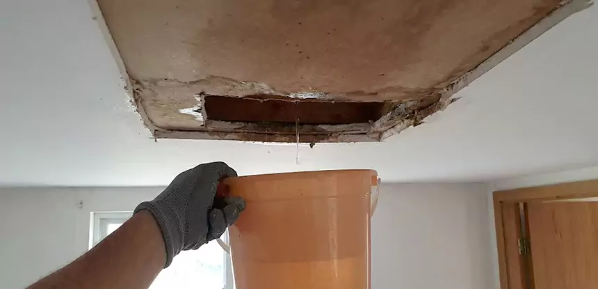 Ceiling Mold Repair Tallapoosa 